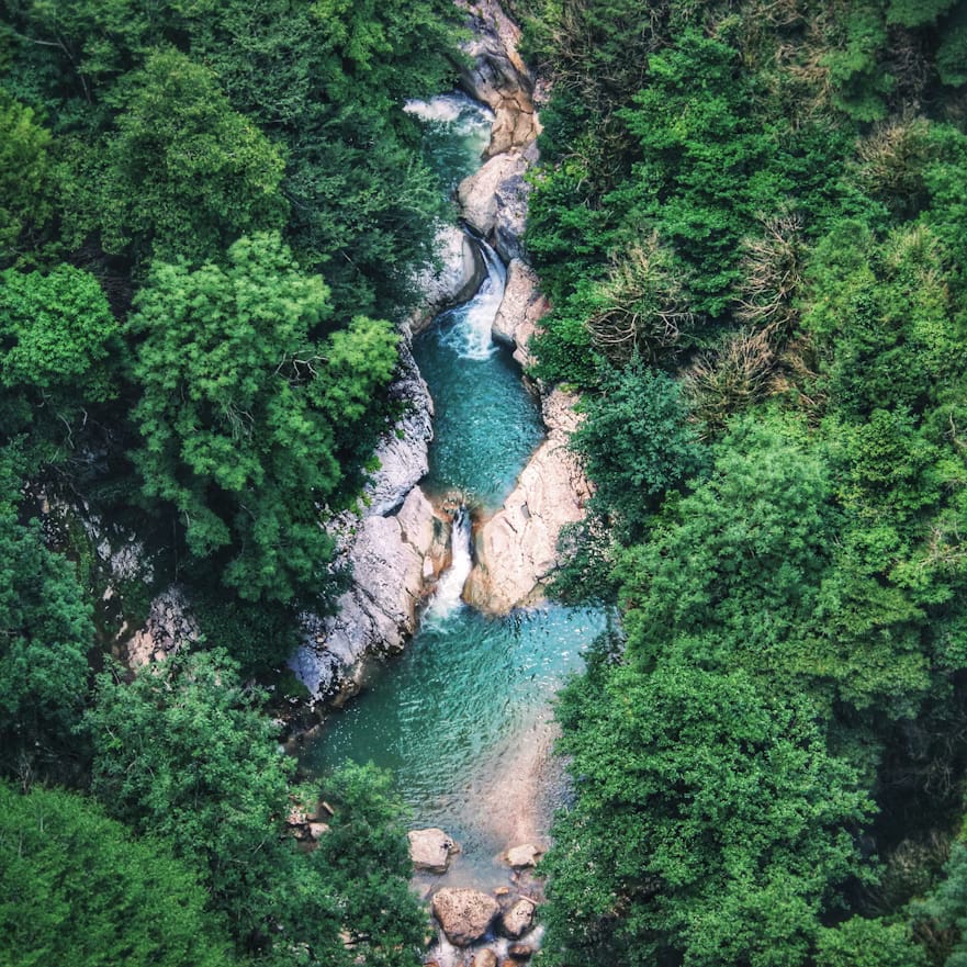 Royal Georgia — картинка 3 · Батуми Royal Georgia — картинка 3 · Батуми